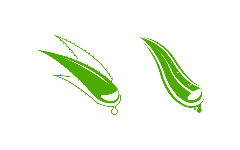 Aloe Vera Vector icona design illustrazione modello di progettazione v.4