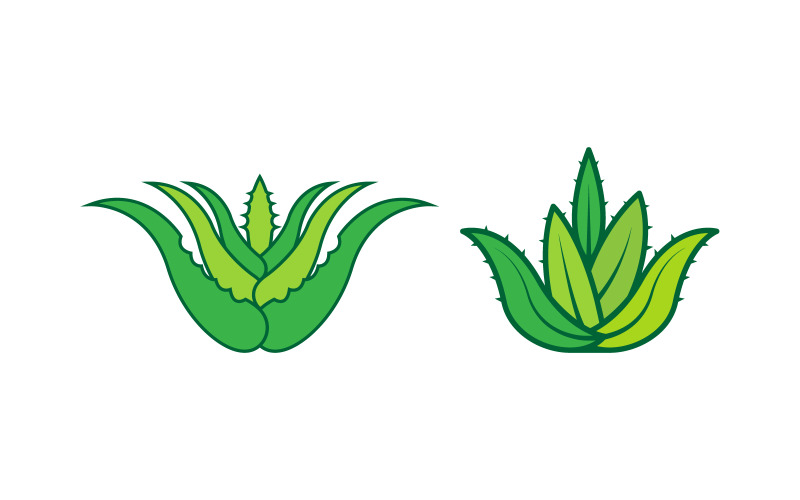 Aloe Vera Vector ikona projekt ilustracja szablon projekt v.5