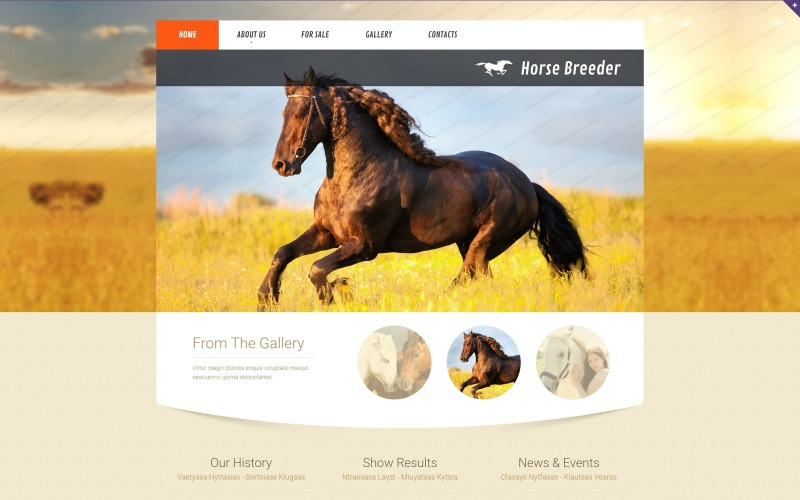 Plantilla de sitio web adaptable a caballos
