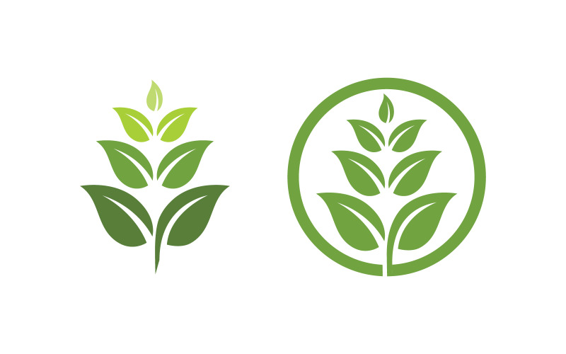 Herbal Nature blad ecologie natuur veganistisch concept element vector v.1
