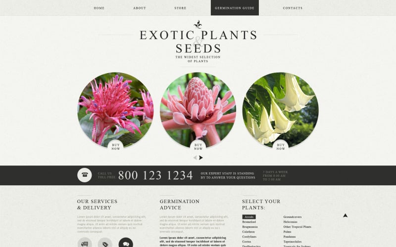 Modèle de site Web réactif de conception de jardin