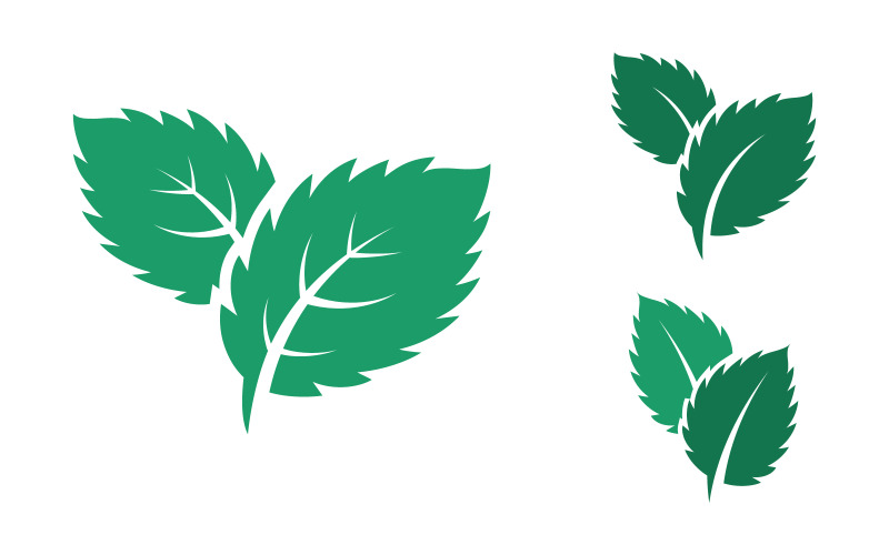 Modèle de conception d'illustration d'icône vectorielle plate de feuilles de menthe v.24