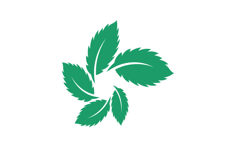 Modello di progettazione dell'illustrazione dell'icona vettoriale piatta delle foglie di menta v.34
