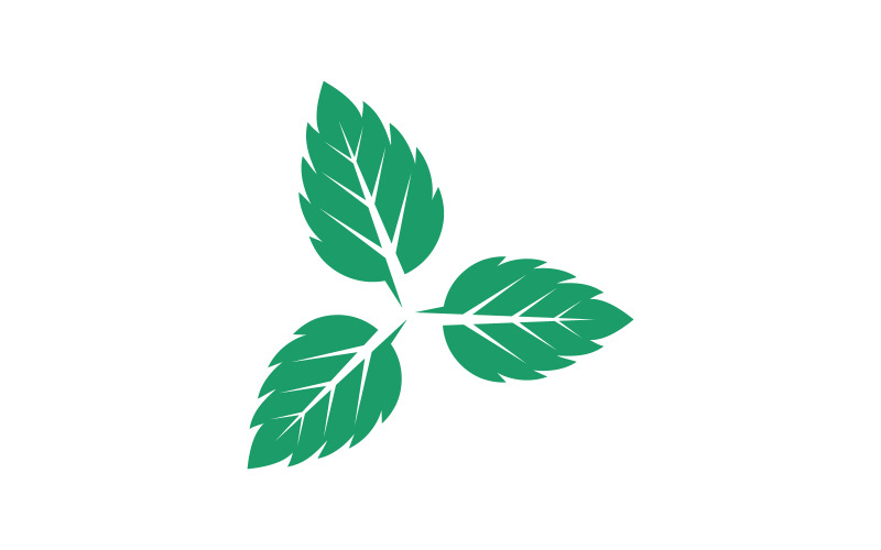 Modelo de design de ilustração de ícone vetorial plano de folhas de hortelã v.37