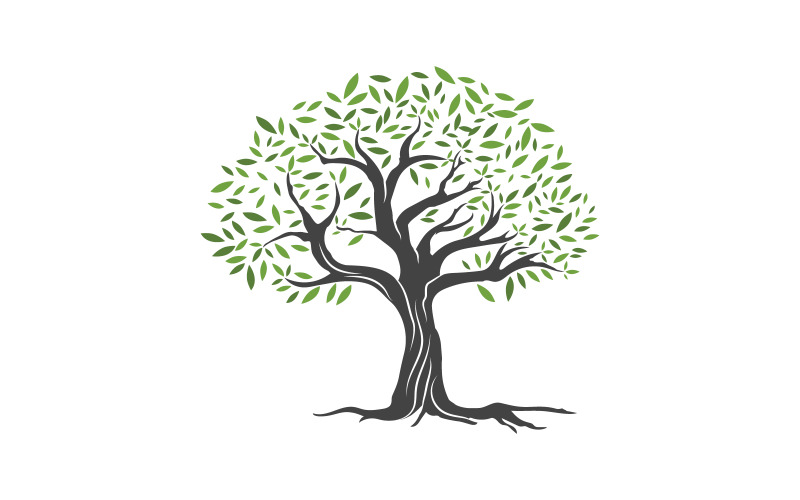 Modèle de conception d'illustration vectorielle d'icône d'arbre fruitier d'olivier v.15