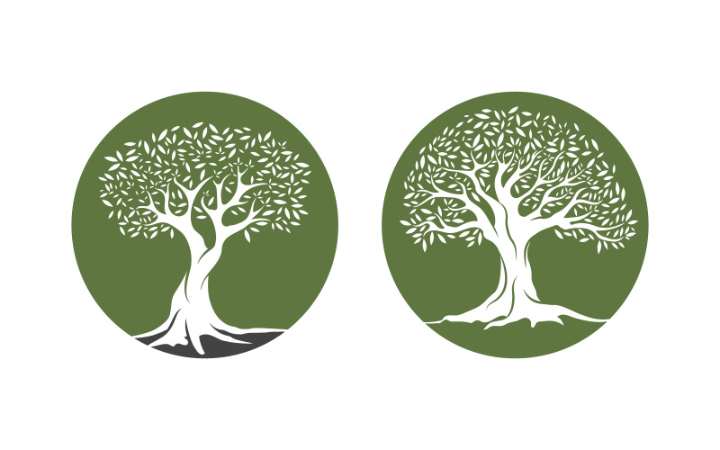 Modèle de conception d'illustration vectorielle d'icône d'arbre fruitier d'olivier v.3