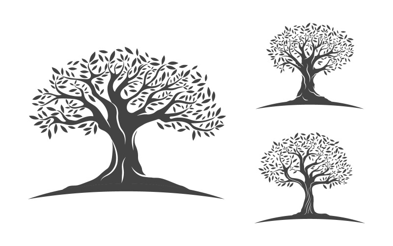 Modèle de conception d'illustration vectorielle d'icône d'arbre fruitier d'olivier v.6