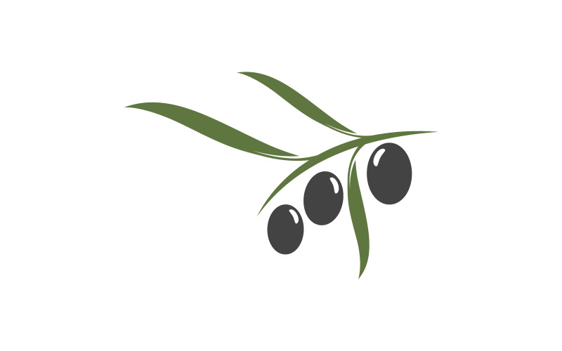 Modello di progettazione dell'illustrazione vettoriale dell'icona del frutto dell'olivo v.13