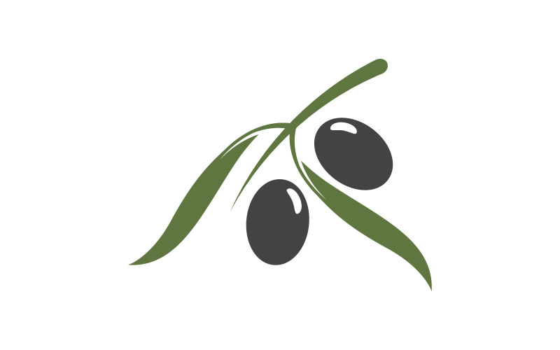 Modello di progettazione dell'illustrazione vettoriale dell'icona del frutto dell'olivo v.4