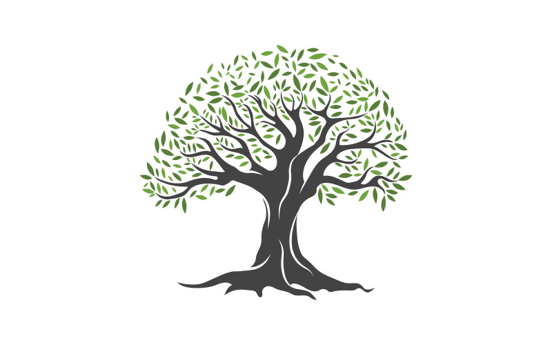 Modello di progettazione dell'illustrazione vettoriale dell'icona dell'albero di ulivo v.12