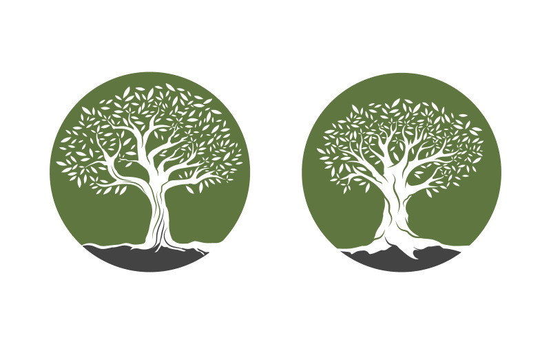 Olijfboom pictogram vectorillustratie ontwerp sjabloon v.4