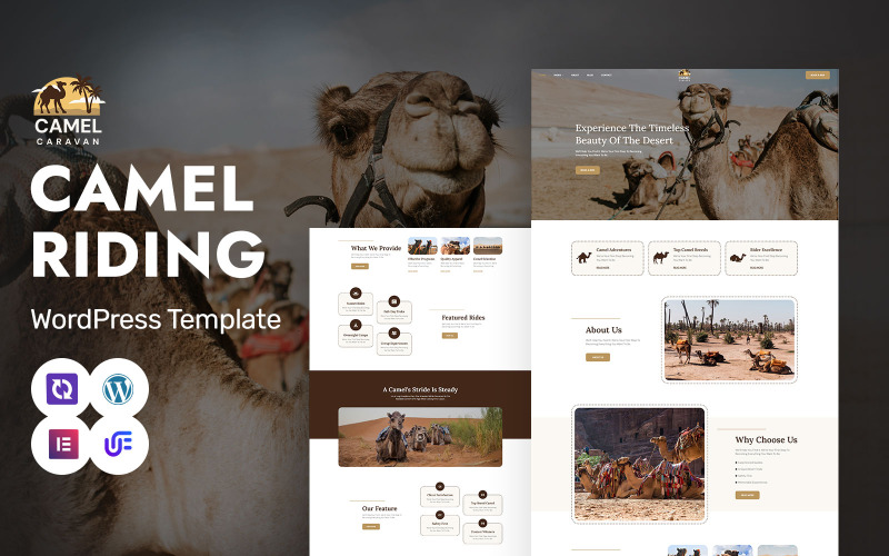 Caravana de camellos: tema de WordPress Elementor para safaris y excursiones de aventura en camello