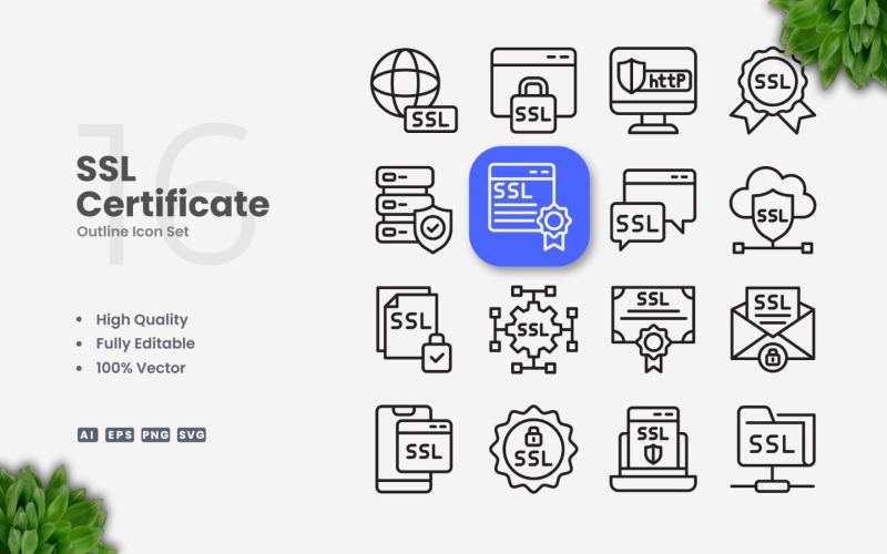 16 SSL-certificaat overzichtspictogramset