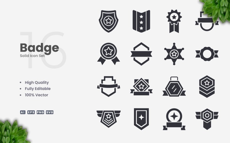 16 Collezione di icone solide con badge