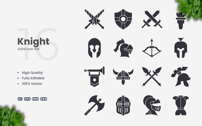 16 Рыцарь Solid Icon Коллекция