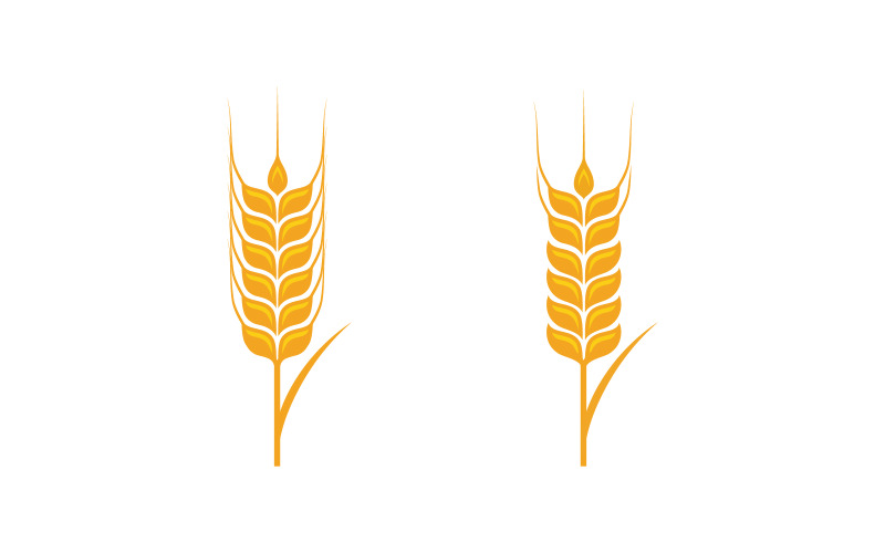 Farm vete ris vektor ikon illustration designmall v.24