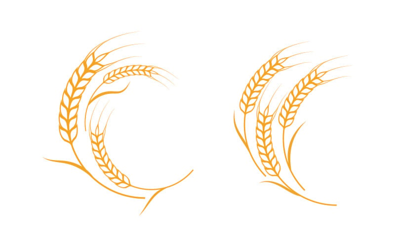 Ферма пшениці рис векторної icon ілюстрація шаблон оформлення v.3