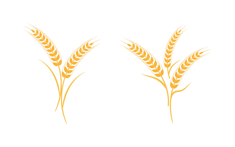 Modello di progettazione dell'illustrazione dell'icona vettoriale del grano e del riso della fattoria v.16
