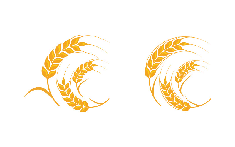 Plantilla de diseño de ilustración de icono de vector de granja trigo arroz v.20