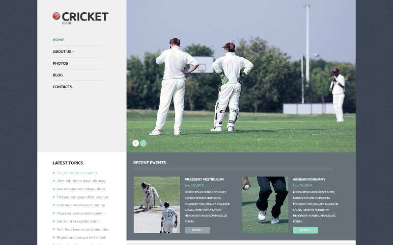 Kriket WordPress motiv reagující na kriket