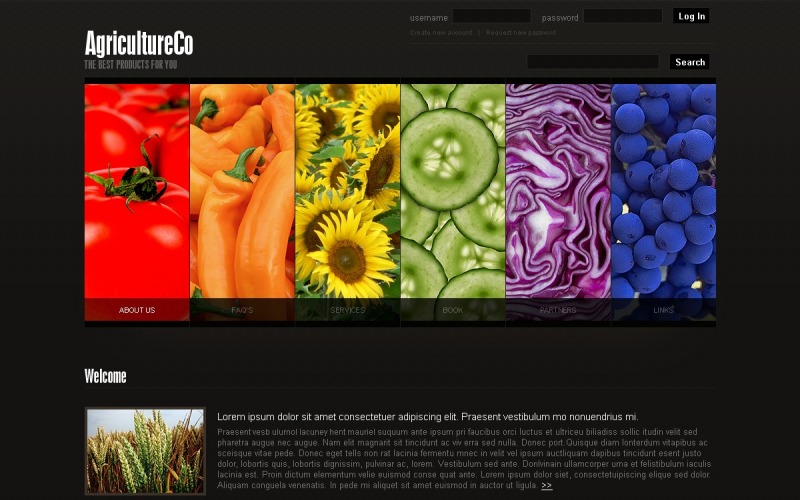 Modello PSD #50234 per Un Sito di Agricoltura