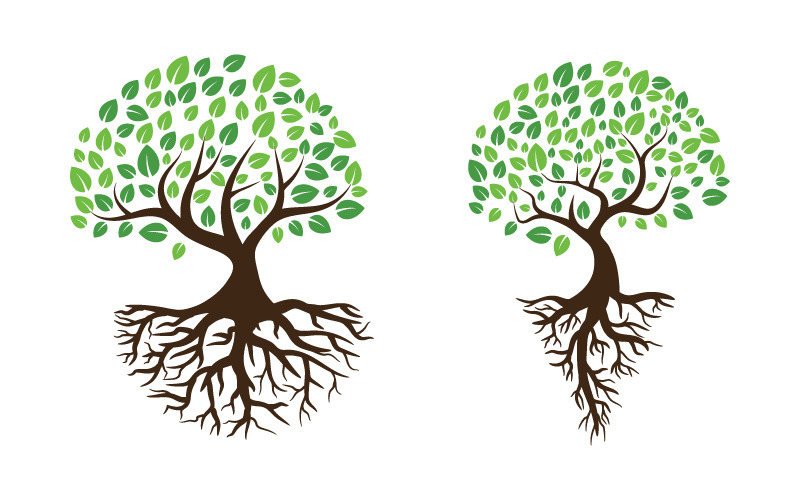 Logo's van groene boom blad ecologie natuur element vector ontwerp v.14