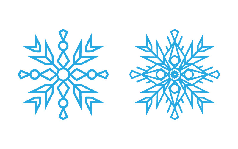 Design in stile fiocchi di neve per etichette, illustrazione invernale congelata v.12