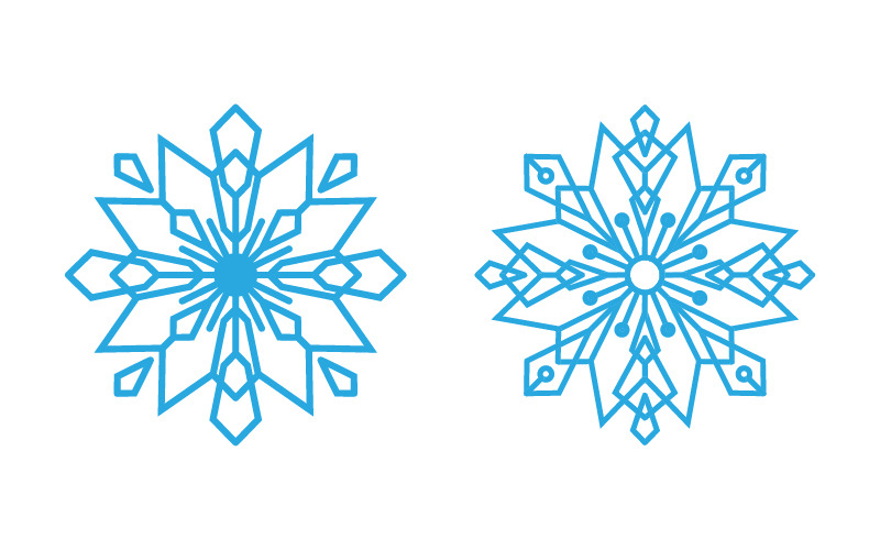 Projekt stylu płatków śniegu dla etykiet, ilustracja Winter Frozen v.13