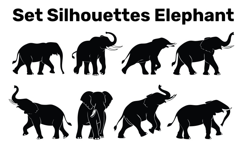 Ensemble de silhouettes d'éléphant, vecteur, facile à modifier, isolé sur fond blanc Illustrations vectorielles