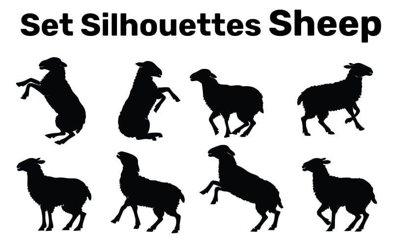 Set Silhouettes pecore, Vettore, Facile da modificare isolato su sfondo bianco