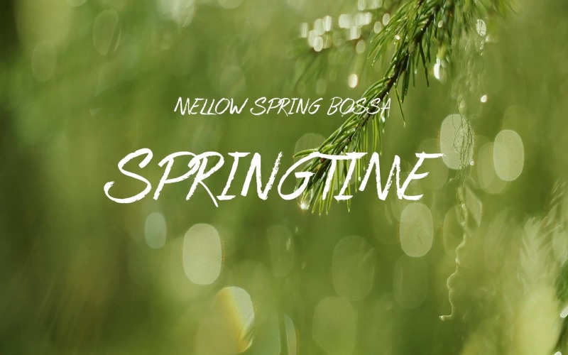 Embrace Fresh Beginnings / Springtime