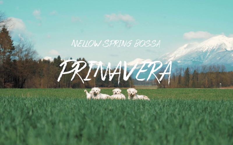 Radiant Souls Glow / Primavera