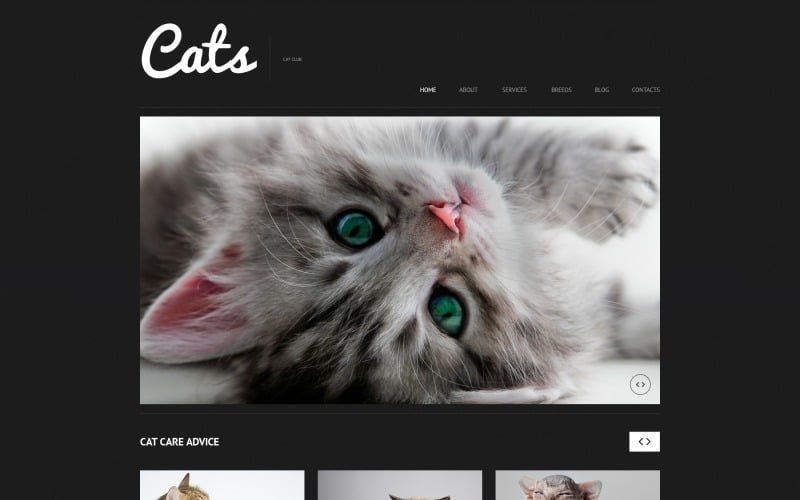 Адаптивная тема WordPress для кошек