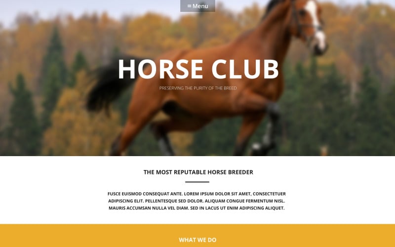 Luxury Horse Breed  Care WordPress Theme
