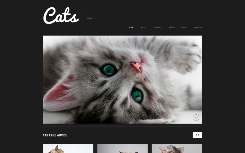Tema WordPress adaptable para gatos