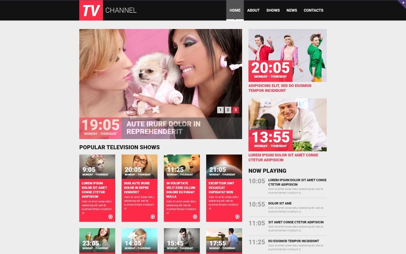 Modello di sito Web reattivo del canale TV