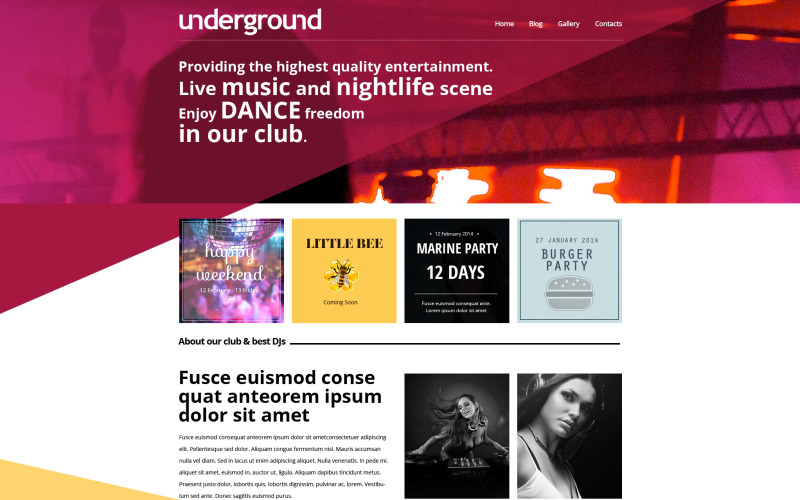 Night Club Drupal-mall