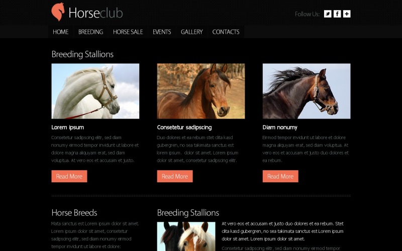Gratis webbplatsmall - Horse Club webbplatsmall