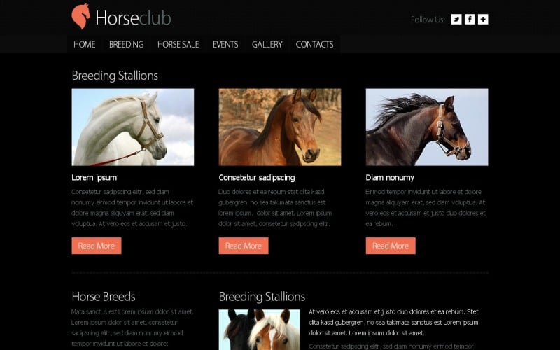 Plantilla de sitio web gratuita - Plantilla de sitio web de Horse Club