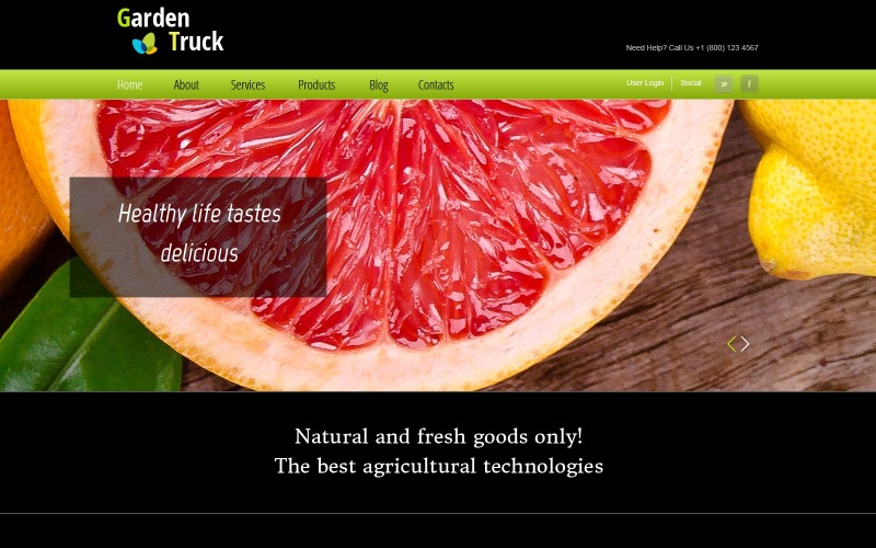 Bandwebsite Erstellen Homepage Fr Musiker