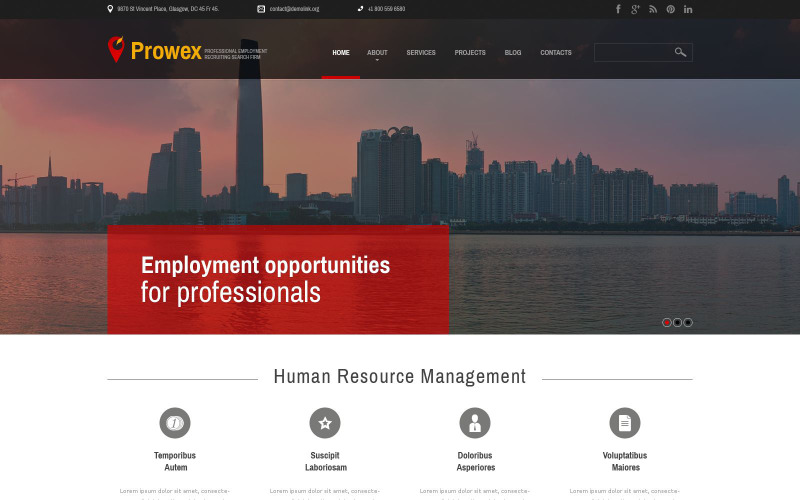 WordPress-tema för professionell sysselsättning