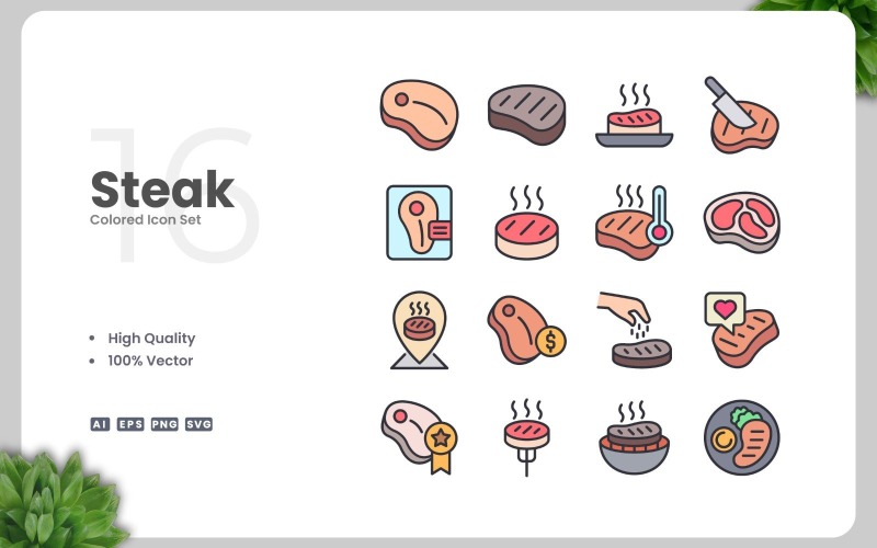 Set van 16 gekleurde steak-iconen