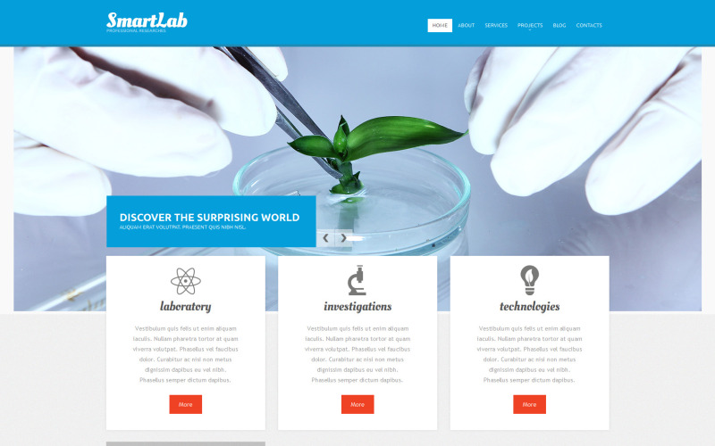 Reagovat Drupal šablona vědecké laboratoře