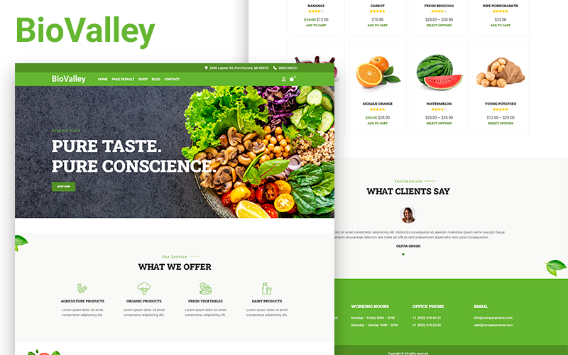 Biovalley - 农民有机商店 Woocommerce 主题