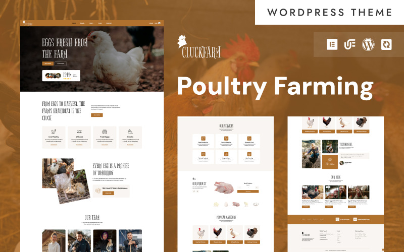 CluckFarm - šablona WooCommerce Elementor pro bio chov vajec a drůbeže