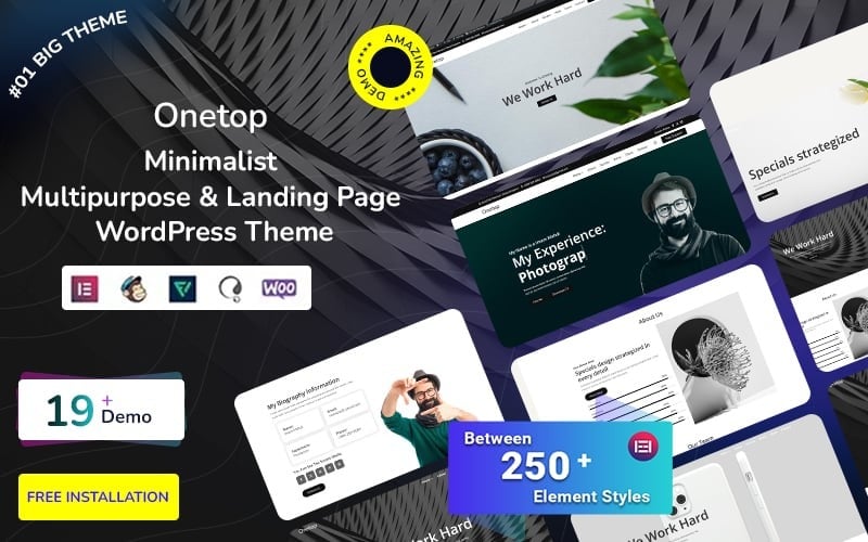Onetop - Minimalist Multipurpose and Landing Page WordPress Theme