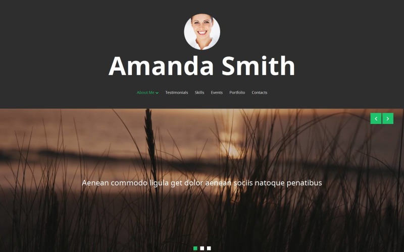 шаблон персональной страницы moto cms 3