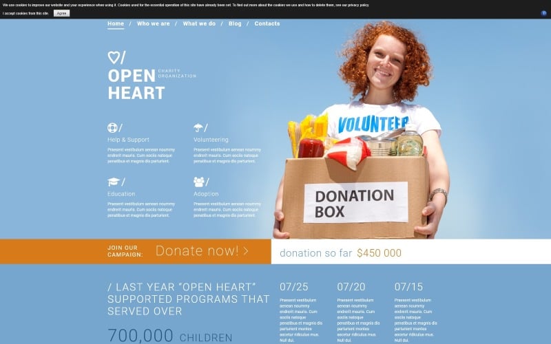 Решение для шаблона Joomla для благотворительных сайтов
