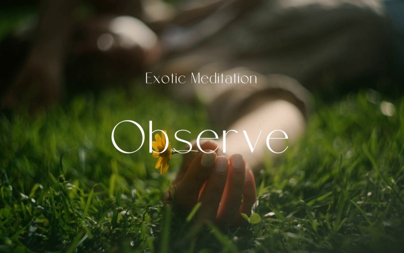 Observe Every Moment / Exotic Meditation