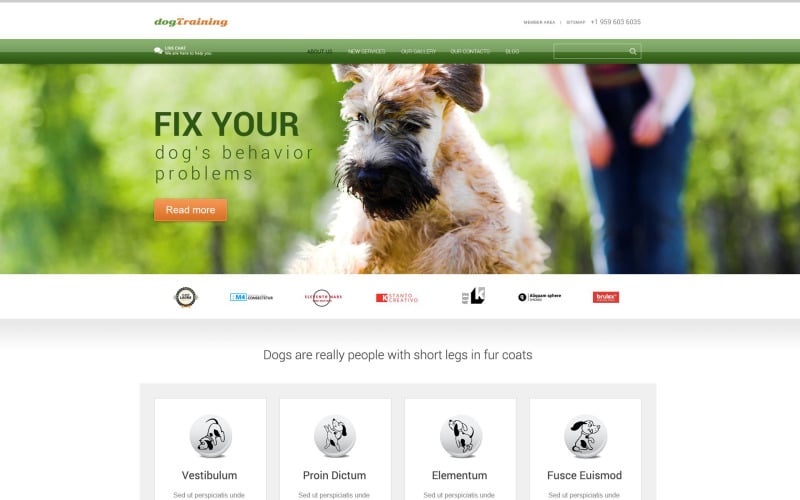 Duyarlı Köpek WordPress Teması